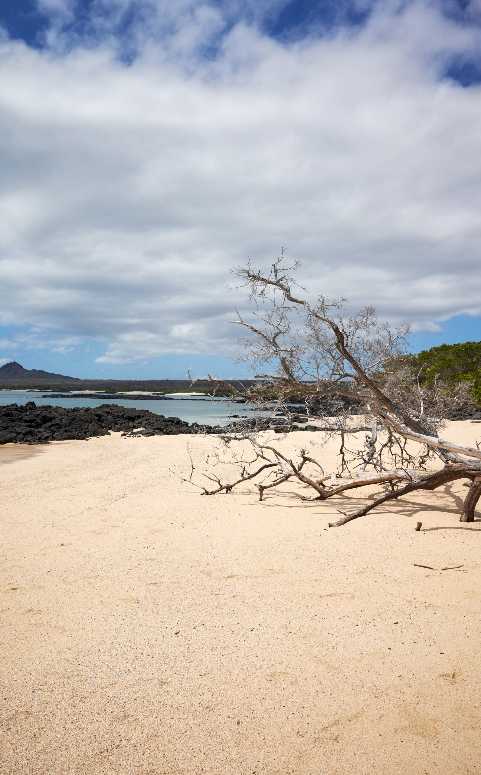 Beach on a beautiful uninhabited island, Galapagos National Park