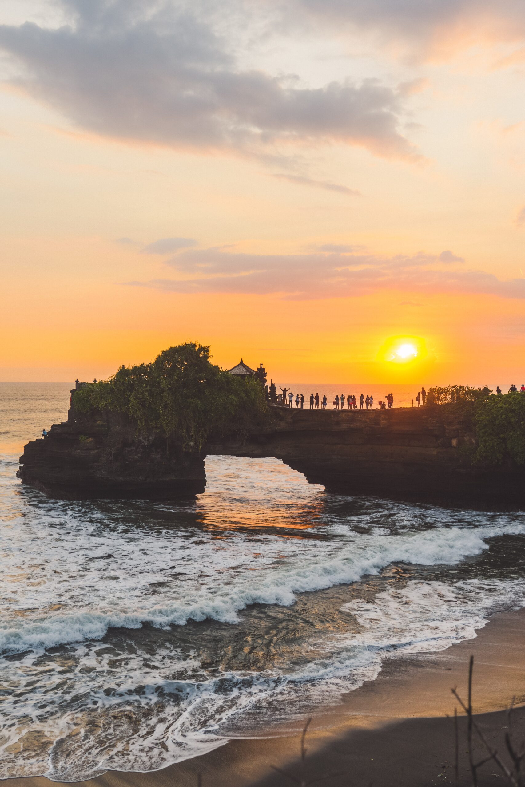 nature-2024-12-06-21-07-23-utc